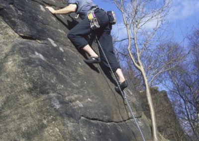 Party Animal - Rivelin